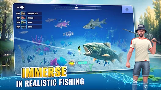 Gameplay View
