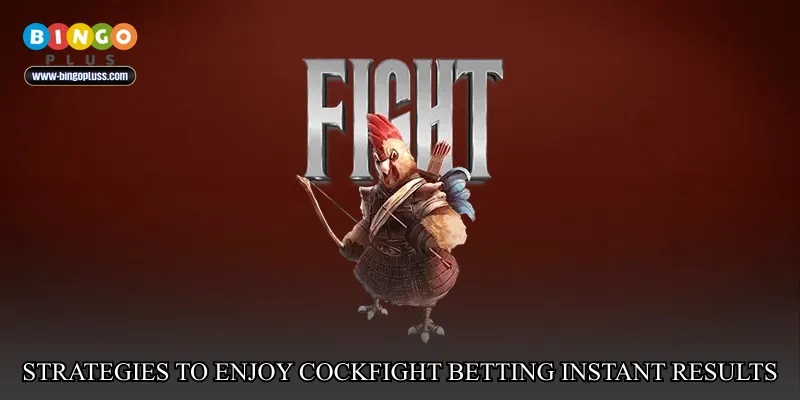 Strategies to enjoy Cockfight betting instant results responsibly