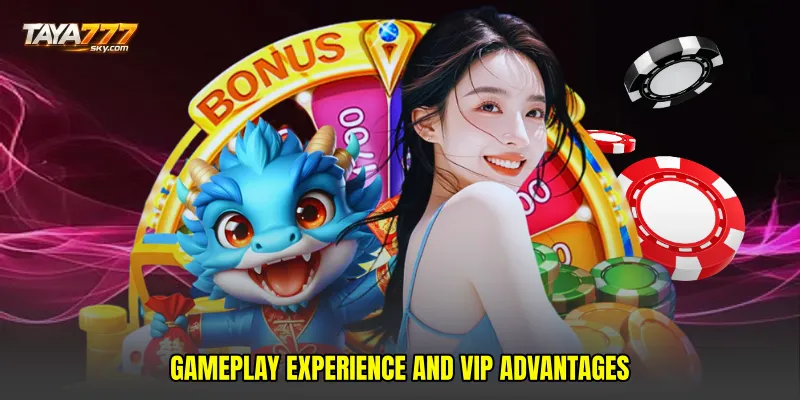 Gameplay Experience and VIP Advantages